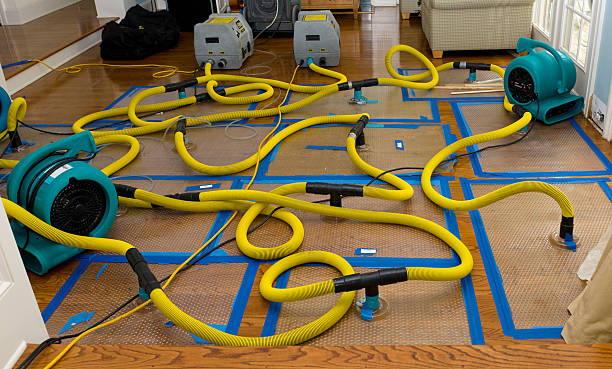 Professional Crawl Space Water Removal technician working in Riverside, IA